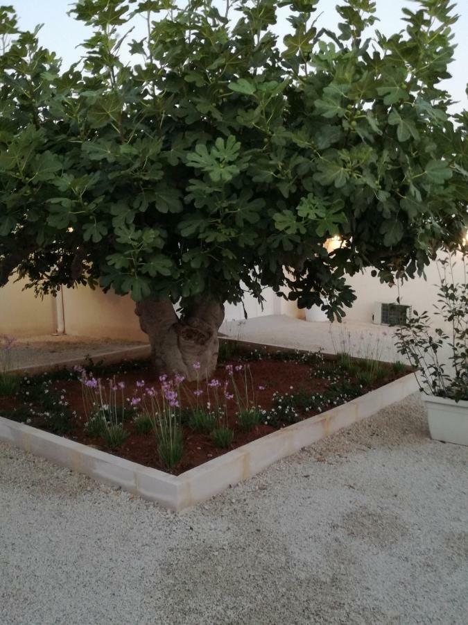 Tenuta Il Fico Hotel Porto Cesareo Exterior foto